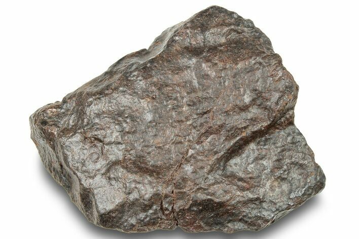 Chondrite Meteorite ( g) - Western Sahara Desert #247523